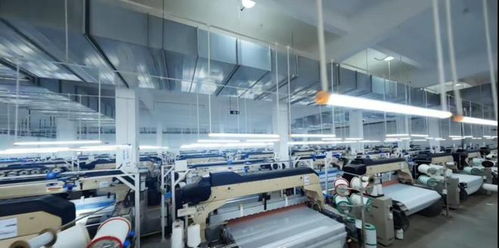 向着春天，出发 建行深圳市分行以金融服务与网络技术助力特区高质量发展